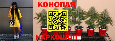 круглые Ливны