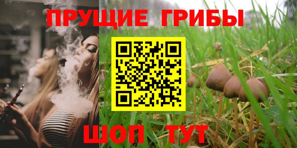 Галлюциногенные грибы ЛСД  Псилоцибиновые грибы Psilocybe  Черняховск  Вход с VPN 
