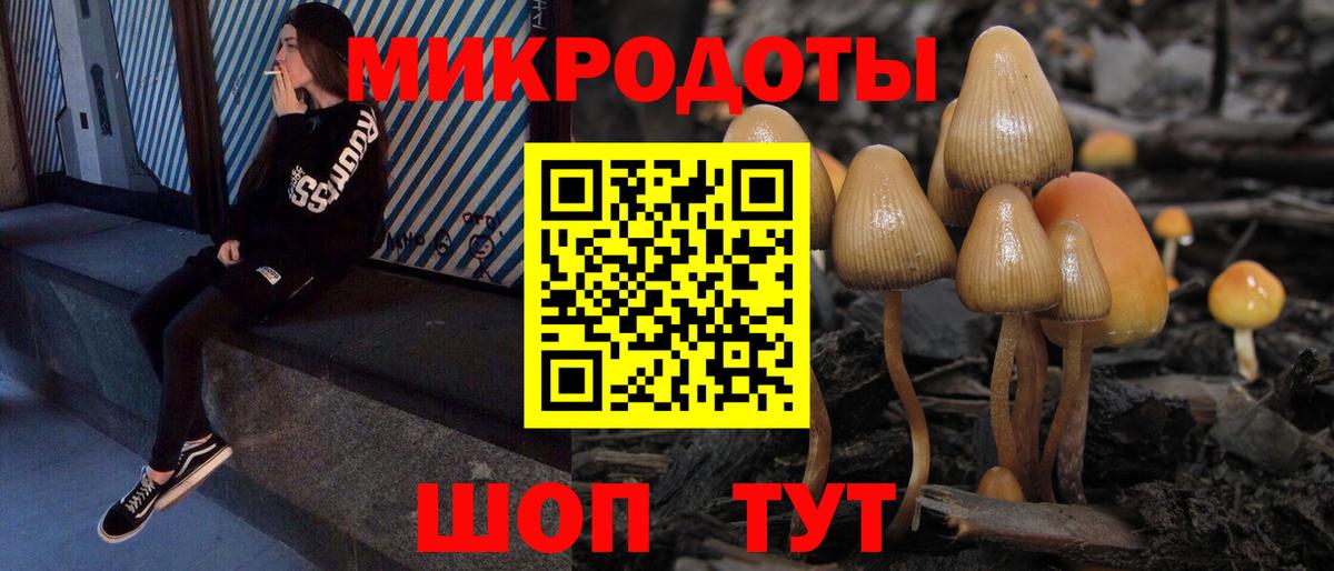 Псилоцибиновые грибы ЛСД Черняховск
